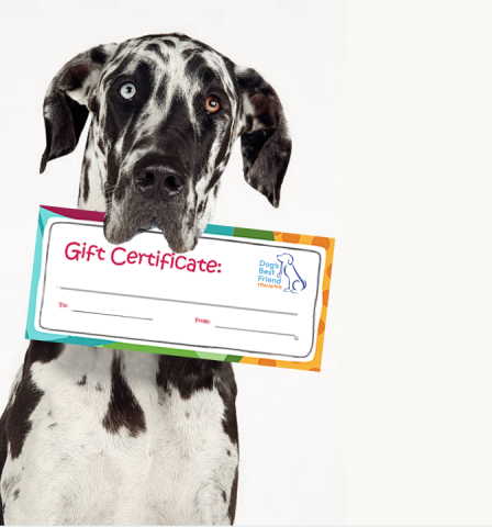 https://www.dogsbestfriendtraining.com/wp-content/uploads/2021/03/gift-certificate-dog.png