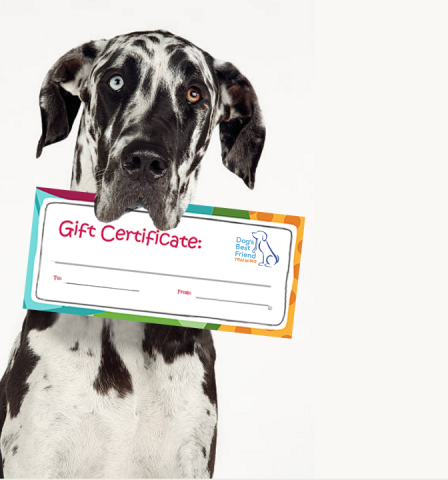 Gift Certificate - Dog's Best Friend Training